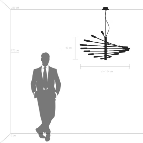 Подвесная люстра Lightstar с поддержкой Маруся Ragno 733187 