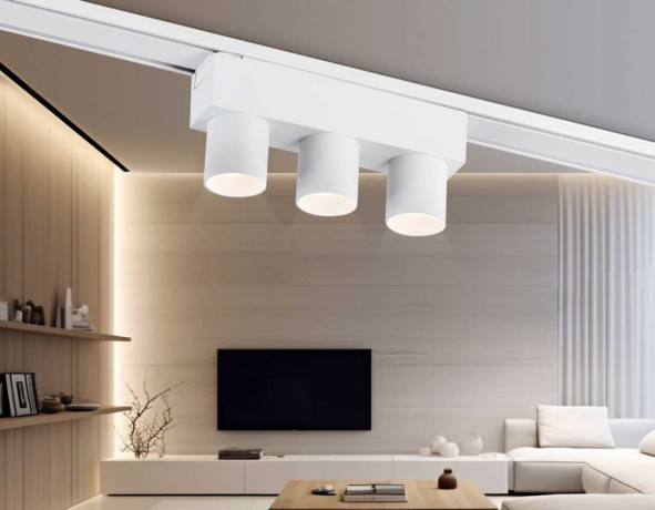 Накладной светильник Ambrella Light GV GV1503