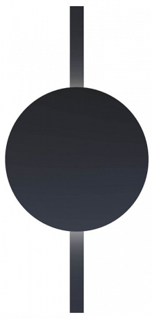 Накладной светильник Arte Lamp Rapid A1163PL-1BK 