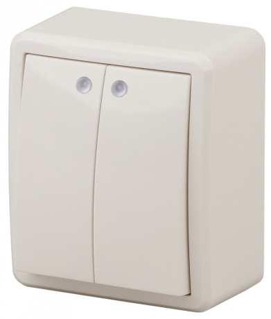 Переключатель двухклавишный с подсветкой ЭРА Эксперт 10AX 250V 11-1205-02 Б0020667