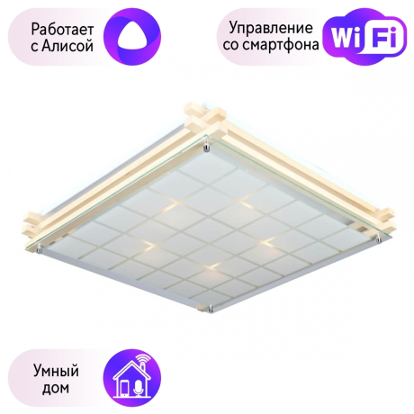 Светильник с поддержкой Алисы потолочный Omnilux OML-40517-05-A 