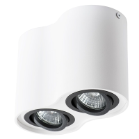 Потолочный светильник Arte Lamp Falcon A5644PL-2WH