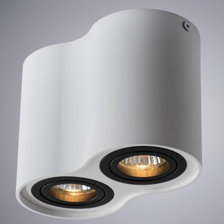 Потолочный светильник Arte Lamp Falcon A5644PL-2WH 
