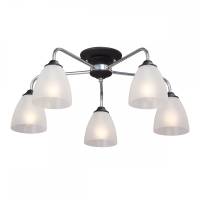 Потолочная люстра Vitaluce  V3946-1/5PL