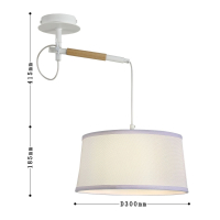 Светильник на штанге F-promo Eureka 3005-1P