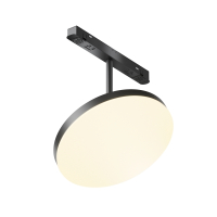 Светильник на штанге Maytoni Technical Plato TR131-2-15W3K-B