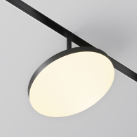 Светильник на штанге Maytoni Technical Plato TR131-2-15W3K-B