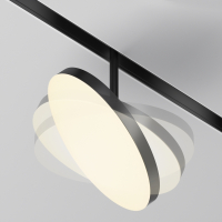 Светильник на штанге Maytoni Technical Plato TR131-2-15W3K-B