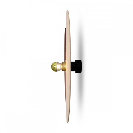 Накладной светильник Freya Carry FR5487WL-01G1