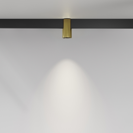 Накладной светильник Maytoni Technical Alfa TR122-2-7W4K-BS