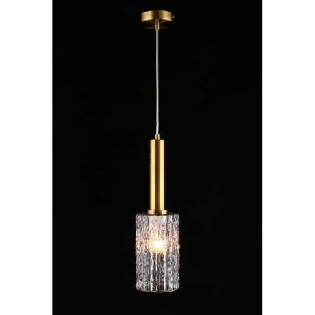 Подвесной светильник с лампочкой APLOYT APL.310.16.01+Lamps 