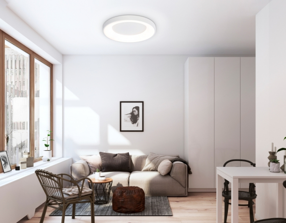 Накладной светильник Ambrella Light FZ FZ1401 