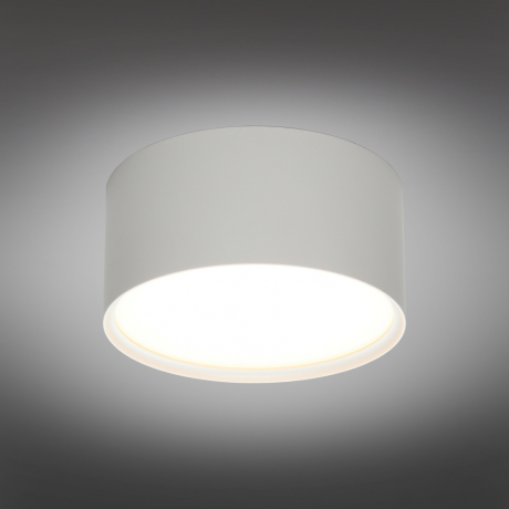 Накладной светильник Omnilux Abano OML-103309-06 