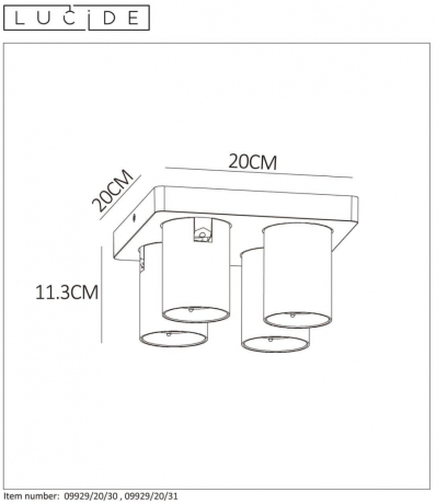 Спот Lucide Nigel 09929/20/31 