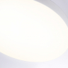 Накладной светильник Ambrella Light FV FV5535 