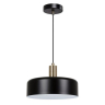 Подвесной светильник с лампочкой Arte lamp A7052SP-1BK+Lamps 