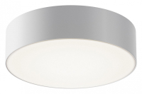 Накладной светильник Maytoni Outdoor Zon IP O431CL-L30W4K