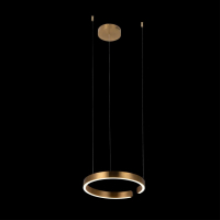 Подвесной светильник Loft it Ring 10013S