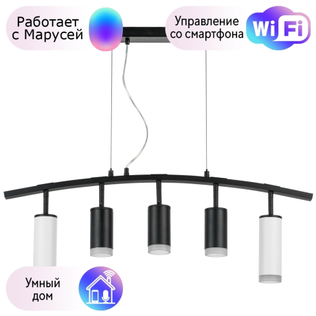 LR7358623730 Подвесной светильник Rullo Lightstar с поддержкой Маруся (комплект из 571735+214437-3+214486-2+202430-5) 