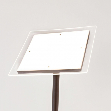 Торшер с подсветкой Citilux Харди CL802015 