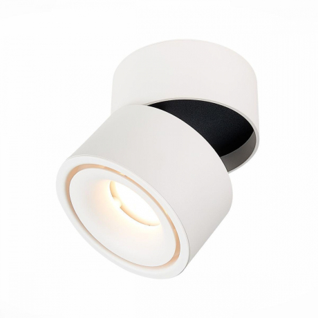 Светильник на штанге ST-Luce ST652 ST652.542.12