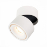 Светильник на штанге ST-Luce ST652 ST652.542.12