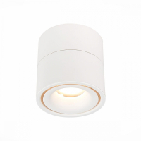 Светильник на штанге ST-Luce ST652 ST652.542.12