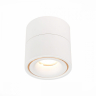 Светильник на штанге ST-Luce ST652 ST652.542.12