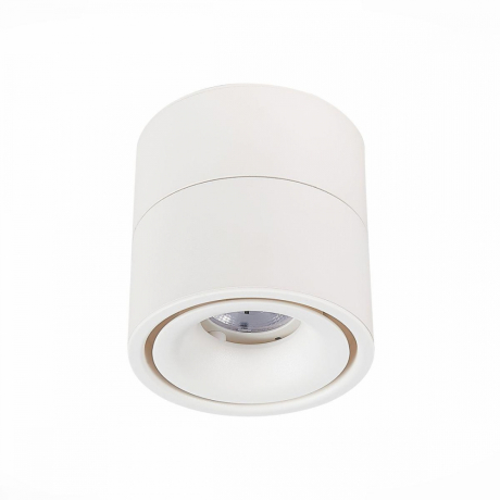 Светильник на штанге ST-Luce ST652 ST652.542.12