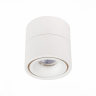 Светильник на штанге ST-Luce ST652 ST652.542.12