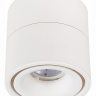 Светильник на штанге ST-Luce ST652 ST652.542.12
