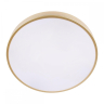 Накладной светильник Loft it Flims 10228/A 