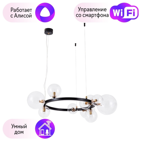 Подвесной светильник Vincent Arte lamp с поддержкой Алиса A7790SP-10BK-A 