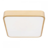 Накладной светильник Loft it Flims 10228/C 
