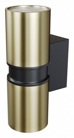 Светильник на штанге Maytoni Outdoor Bowery O582WL-02BS 