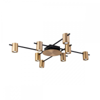 Люстра потолочная APLOYT Elwisia с Алисой APL.633.07.08-A