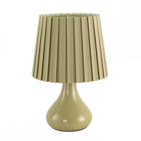 Настольная лампа декоративная Lumion NAINA 8183/1T