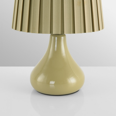 Настольная лампа декоративная Lumion NAINA 8183/1T 