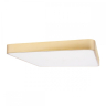 Накладной светильник Loft it Flims 10228/D 