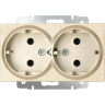 Розетка двойная с заземлением, без рамки Werkel шампань рифленый W1172010