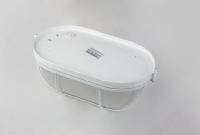 Настенный светильник Эра НБП 04-100-002 (Б0048426)