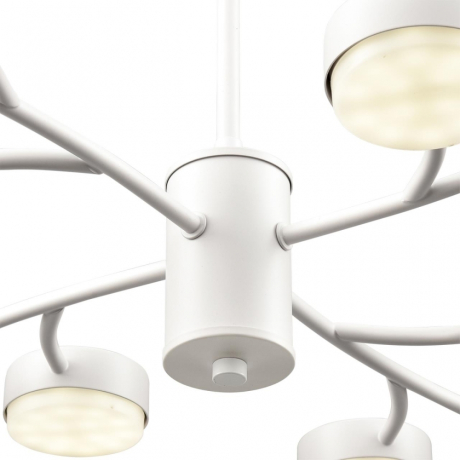 Люстра на штанге Lumion TORINA 8265/12 