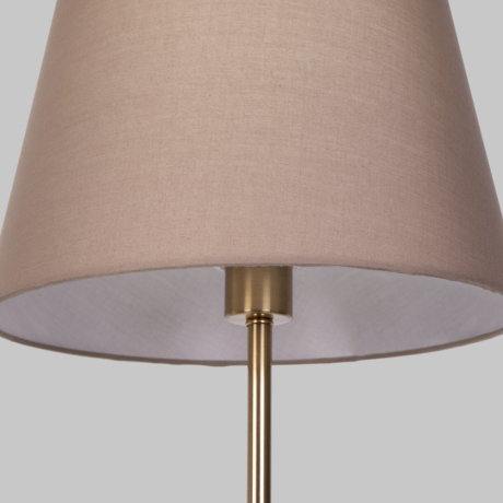 Настольная лампа декоративная Eurosvet Ozark 01156/1 латунь 