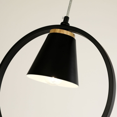 Светильник подвесной с лампочками, комплект от Lustrof. № 315194-617626 