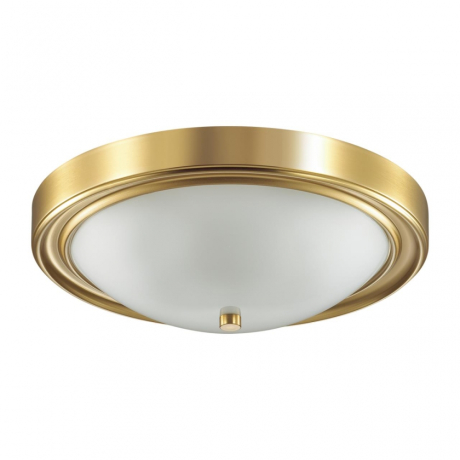 Накладной светильник Lumion Nina 5259/3C