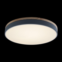 Накладной светильник Loft it Axel 10001/36 Grey