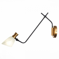 Бра EVOLUCE Lita SLE205401-01