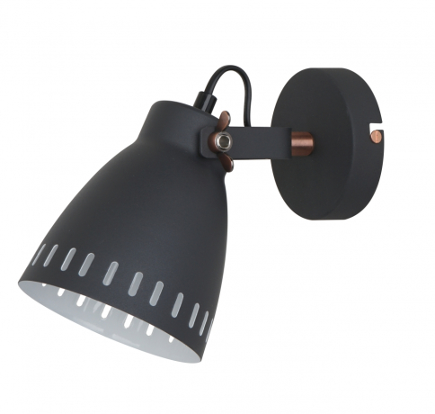 WML-428-1  С02 Спот настенный Camelion New York 13057 