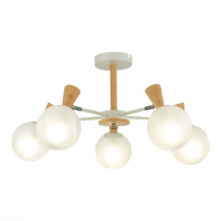 Люстра на штанге EVOLUCE Catania SLE220702-05