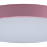 Накладной светильник Loft it Axel 1 10002/24 Pink 